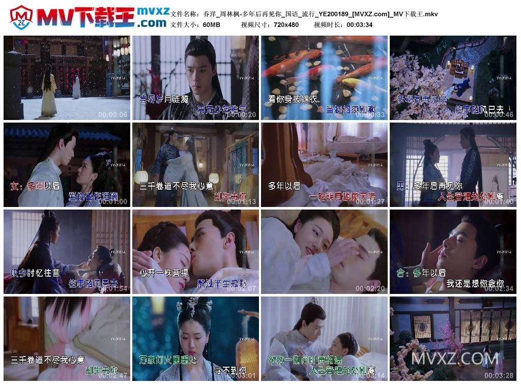 乔洋_周林枫-多年后再见你_国语_流行_YE200189